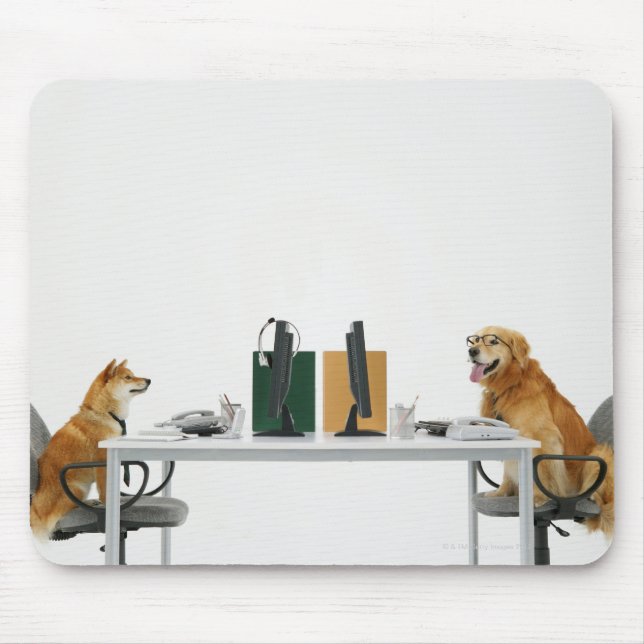 Two dogs wearing tie and glasses ,sitting on mouse pad (Front)