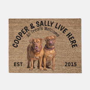 Two Dogue de Bordeaux Personalized Dog Lover   Doormat