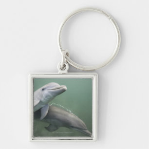 Two Dolphins underwater Keychain