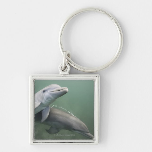 Two Dolphins underwater Keychain (Front)