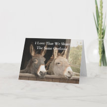 Two Donkeys Share Same View on Farm