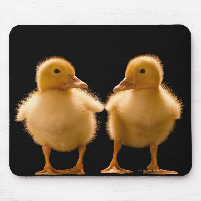 Two ducklings looking at one another mouse pad (Front)
