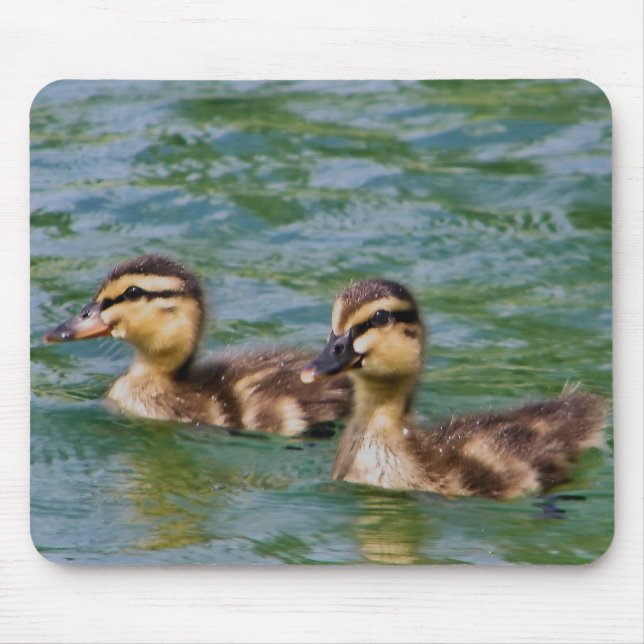two ducklings mousepad (Front)