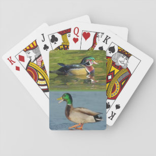 Two ducks on a deck of playing cards