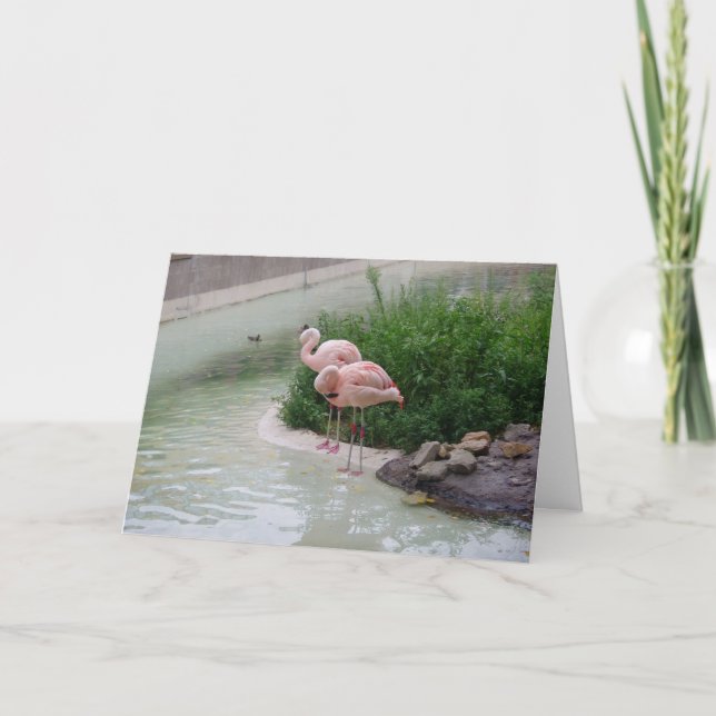 "Two Ducks & Two Flamingos" Thank You Card (Front)