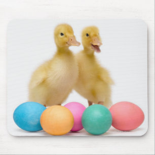 Two ducks with Easter Eggs Mouse Pad