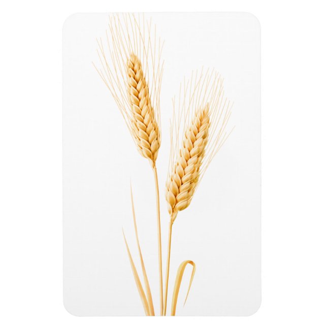 Two ears of wheat magnet (Vertical)