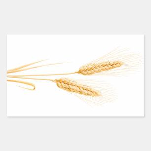 Two ears of wheat sticker