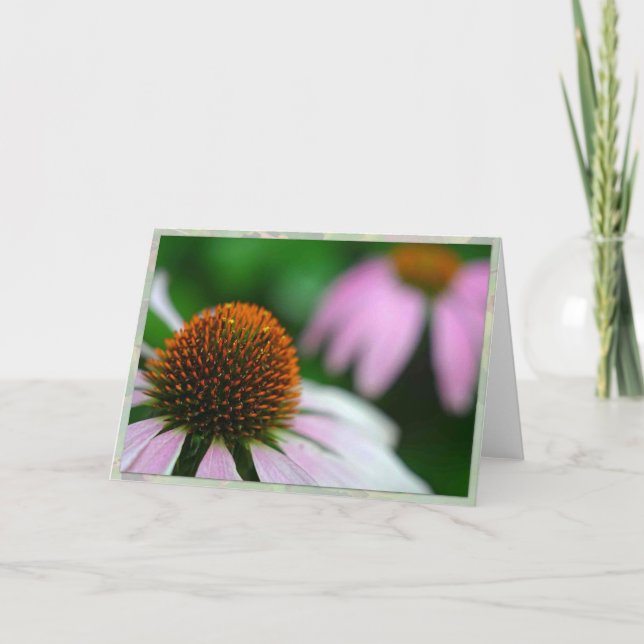 Two echinacea card (Front)