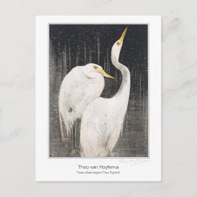Two Egrets - Theo van Hoytema - Vintage Art + Postcard (Front)