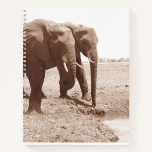 Two Elephant Spiral Notebook College Rule