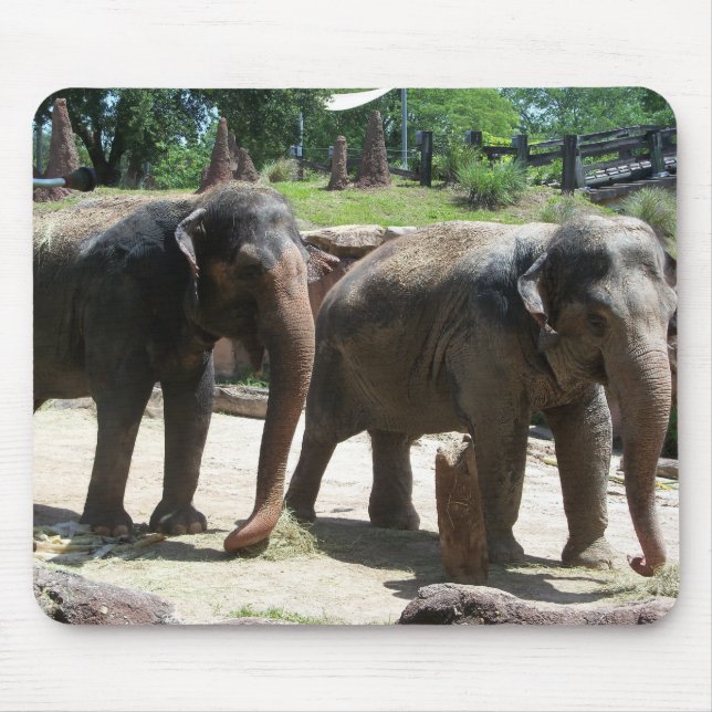 Two Elephants Mouse Pad (Front)