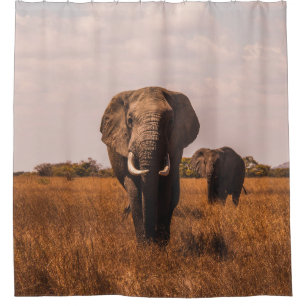 TWO ELEPHANTS WALKING ON GRASS COVERED GROUND