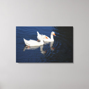 Two Emden Geese Canvas Print