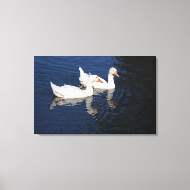 Two Emden Geese Canvas Print (Front)