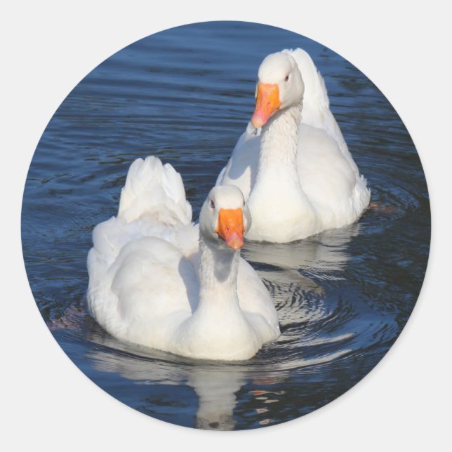 Two Emden Geese II Classic Round Sticker (Front)