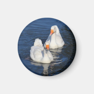 Two Emden Geese II Magnet