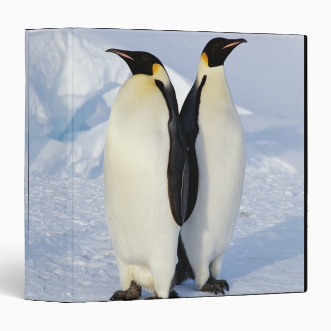 Two Emperor Penguins in Antarctica Binder (Front/Spine)