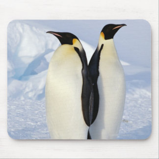 Two Emperor Penguins in Antarctica Mouse Pad