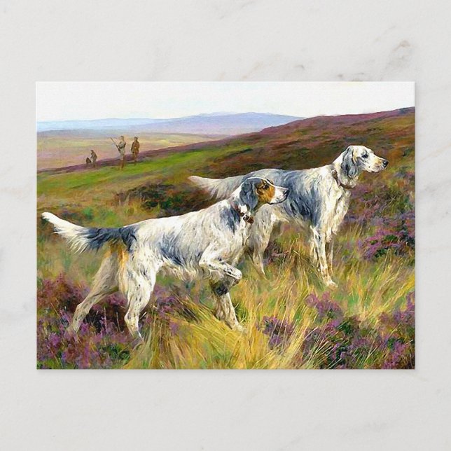 Two English Setters in a Field - Arthur Wardle Postcard (Front)