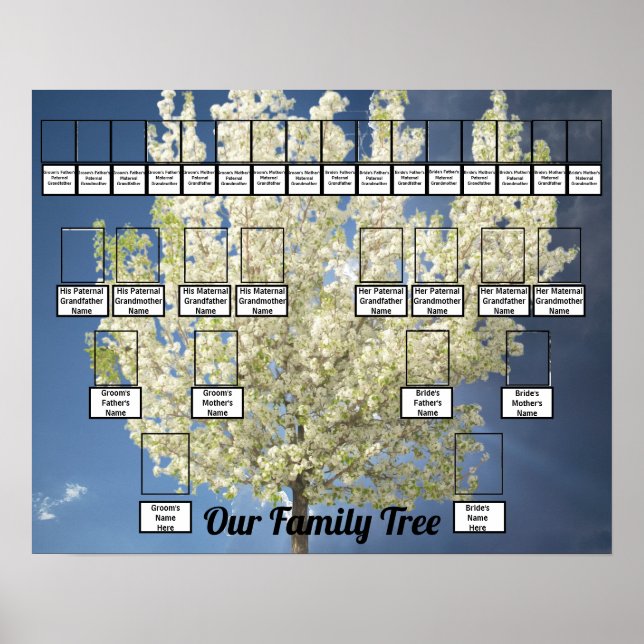 Two Family Trees Blossoming Tree Photo | Blue Sky Poster (Front)