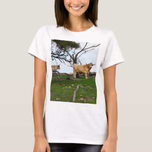 Two Fawn Highland Cows in Peaceful Country Lands, T-Shirt