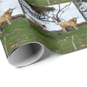 Two Fawn Highland Cows in Peaceful Country Lands, Wrapping Paper