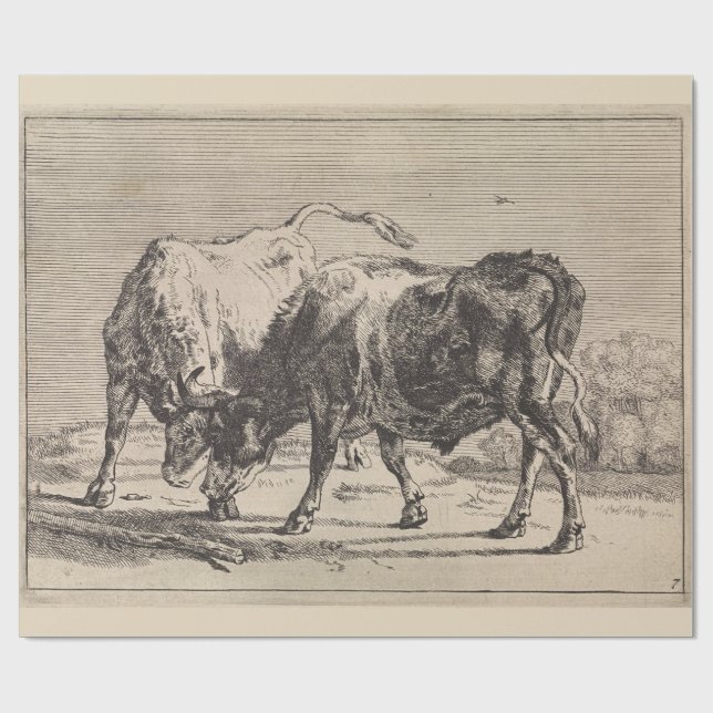 Two Fighting Bulls (by Paulus Potter) Wrapping Paper (Flat)