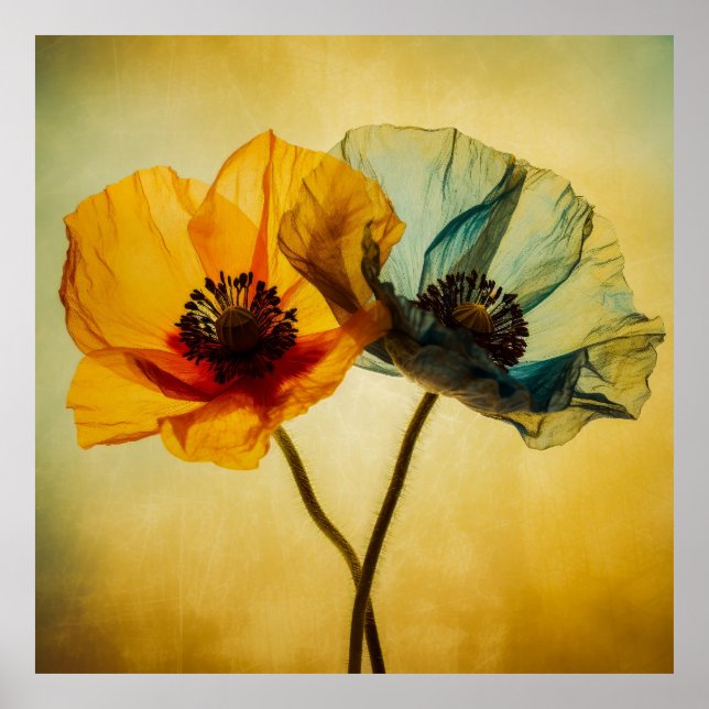 Two Flowers  Poster (Front)