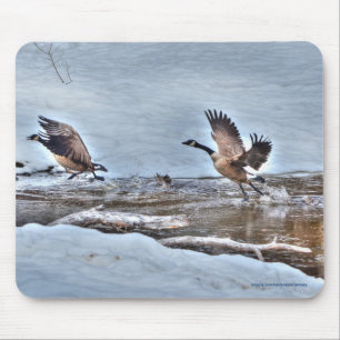 Two Flying Canada Geese & Snow Wildlife Photo Mouse Pad