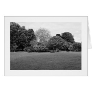 Two for Joy (Bordered)