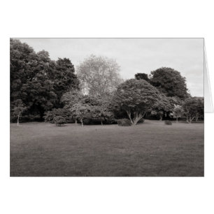 Two for Joy (Warm Toned BW)