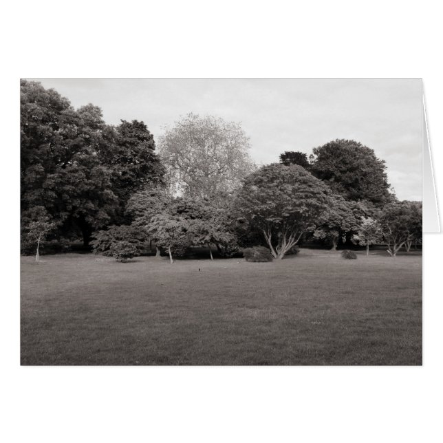 Two for Joy (Warm Toned BW) (Front Horizontal)