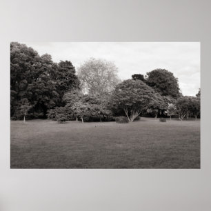 Two for Joy (Warm Toned) Poster