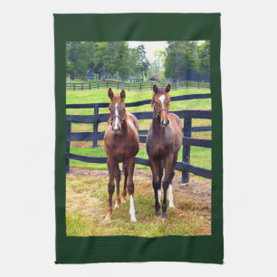 Two Friends Kitchen Towel