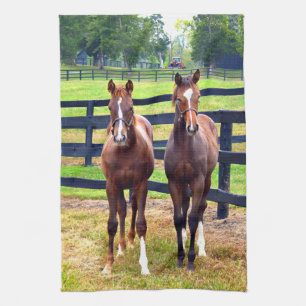 Two Friends Kitchen Towel