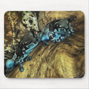 Two frogs hanging out  mouse pad