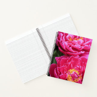 Two Fuchsia Peony Blooms Painting Notebook