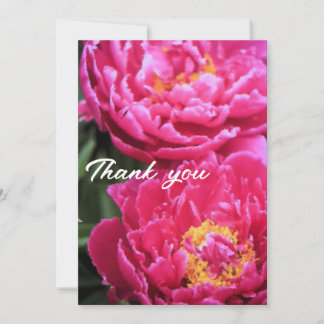 Two Fuchsia Peony Blooms Painting Thank You Card