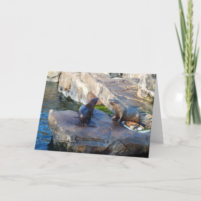 Two fur seals holiday card (Front)