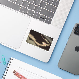 Two Gas Giant Exoplanets Orbiting A Young Star