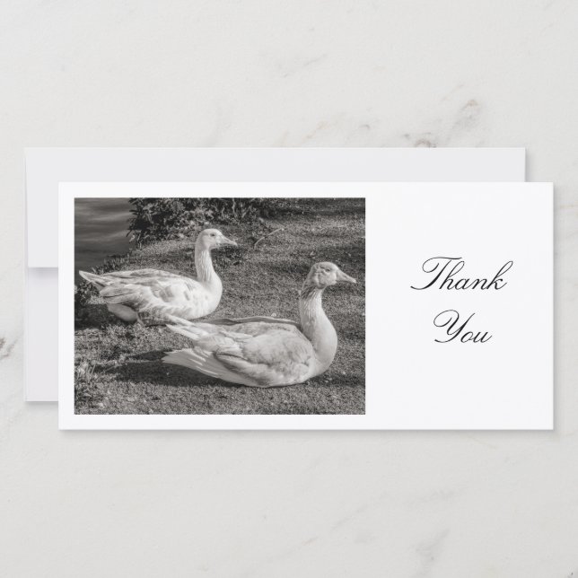 Two Geese - Thank You Card (Front)