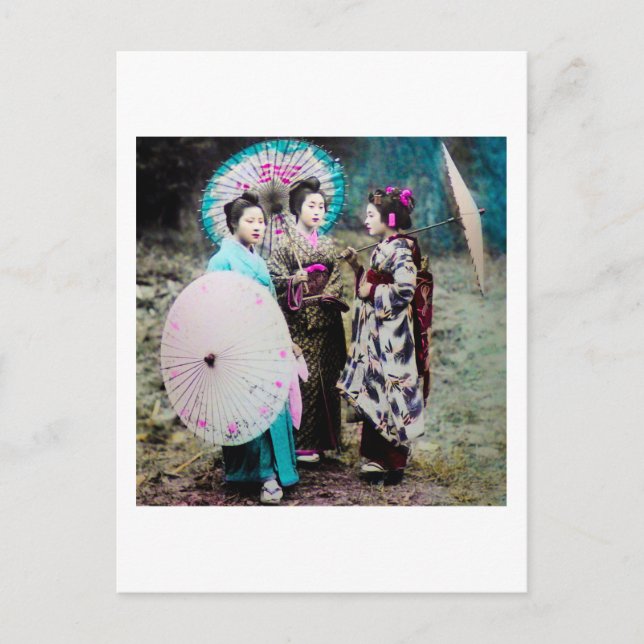 Two Geisha and a Maiko and Parasols Old Japan Postcard (Front)