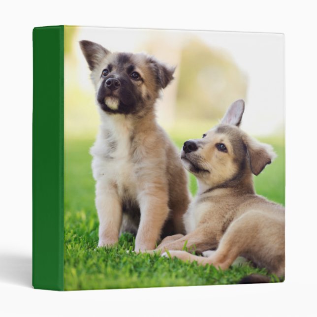 Two German Shepherd Puppies Binder (Front/Spine)