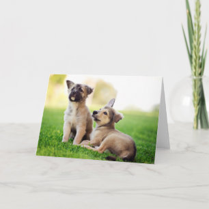 Two German Shepherd Puppies Card