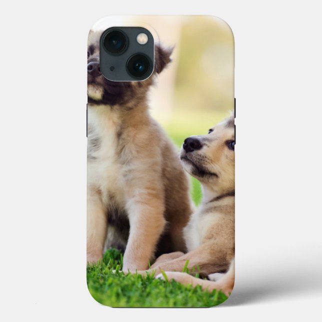 Two German Shepherd Puppies Case-Mate iPhone Case (Back)