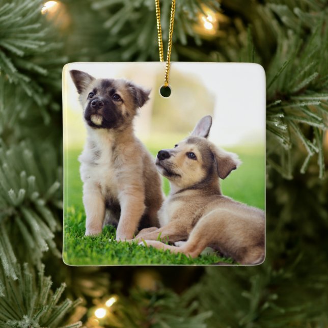 Two German Shepherd Puppies Ceramic Ornament (Tree)