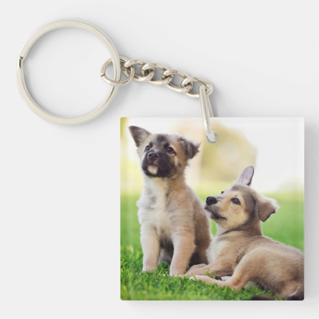 Two German Shepherd Puppies Keychain (Front)
