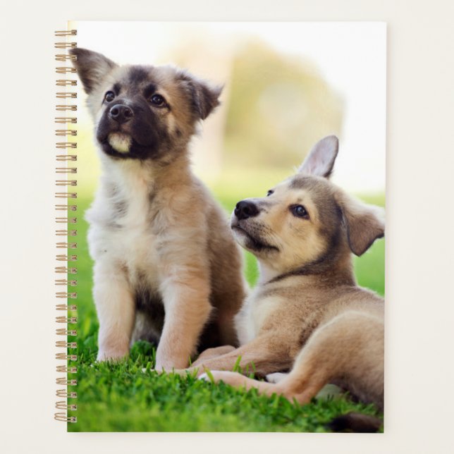Two German Shepherd Puppies Planner (Front)
