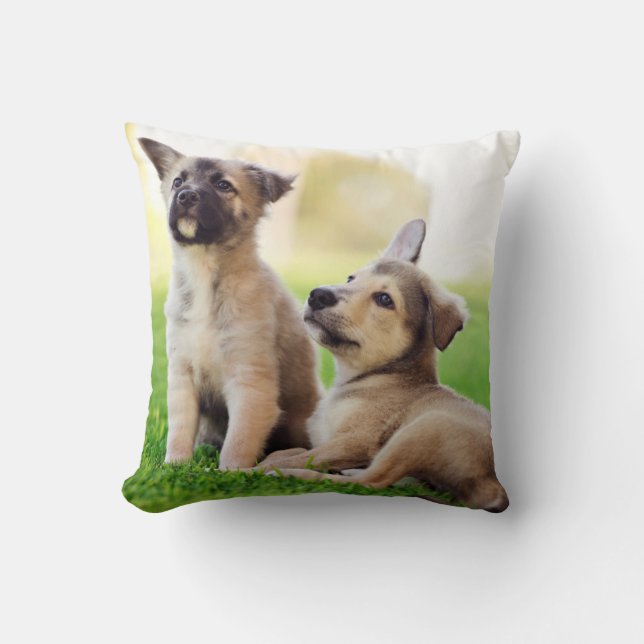 Two German Shepherd Puppies Throw Pillow (Front)